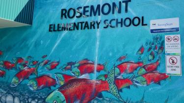 salmon mural rosemont school